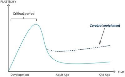 Environmental Enrichment as a Strategy to Confront Social Isolation Under the COVID-19 Pandemic